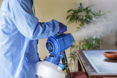 Commercial Fumigation in Cumming, GA
