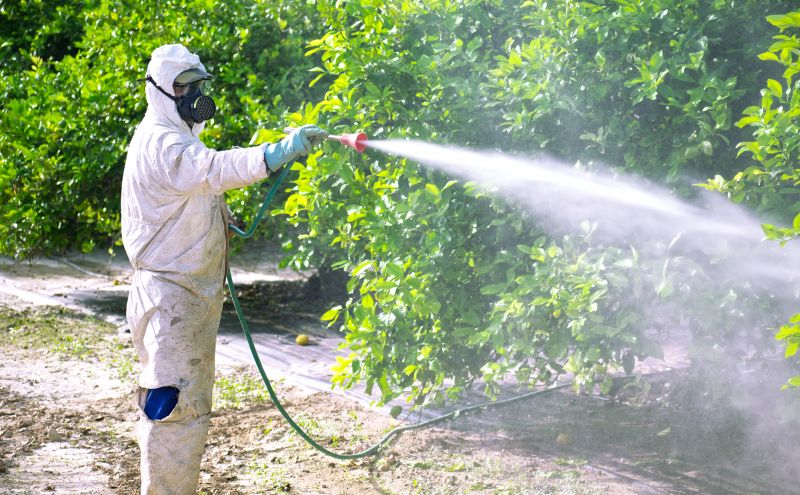 Commercial Fumigation in Fort Collins, CO