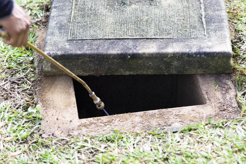 Rat Fumigation Service in Clarksville, TN