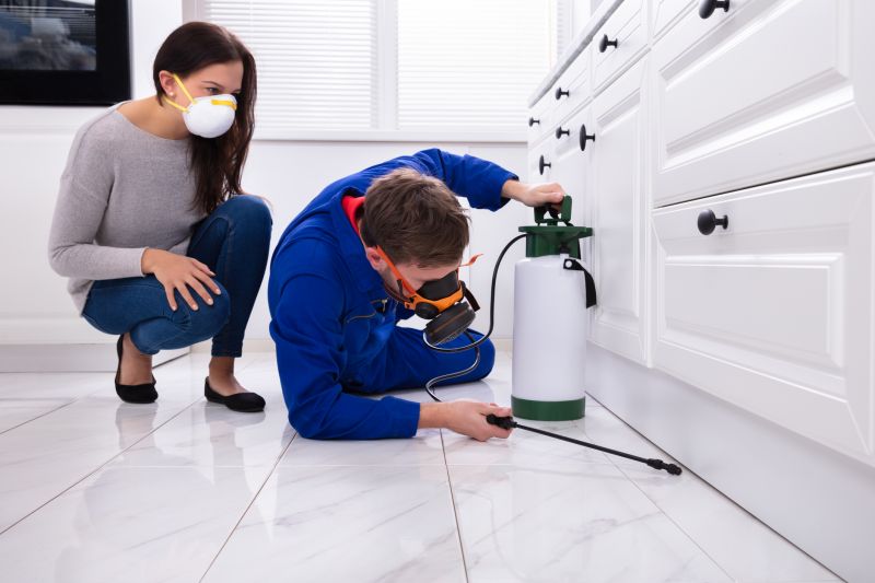 Mites Extermination in Arlington, TX