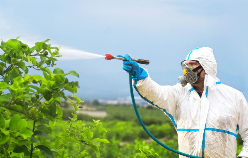 Roach Fumigation in Oklahoma City, OK