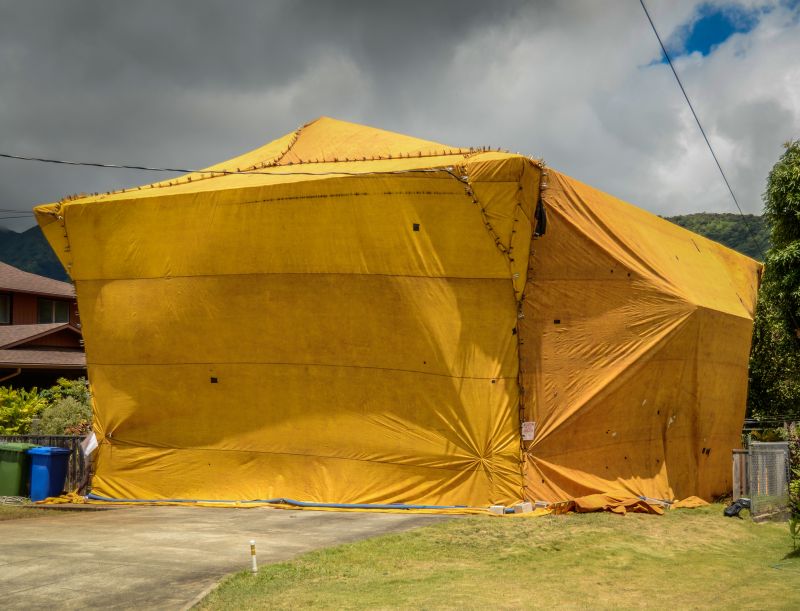 Termite Tenting in Fort Collins, CO